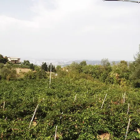 La Panoramica Villa Perarolo Exterior photo