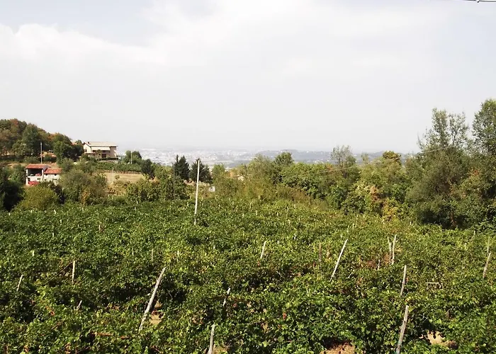 La Panoramica