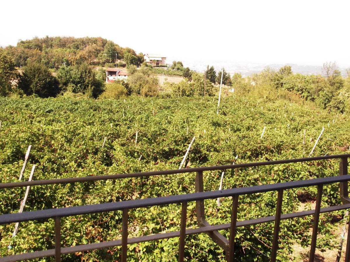 La Panoramica Perarolo